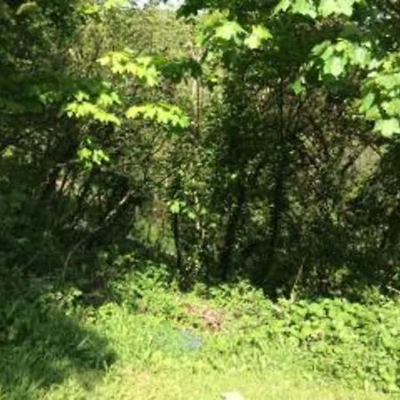 Holiday home Sea Wood Looe