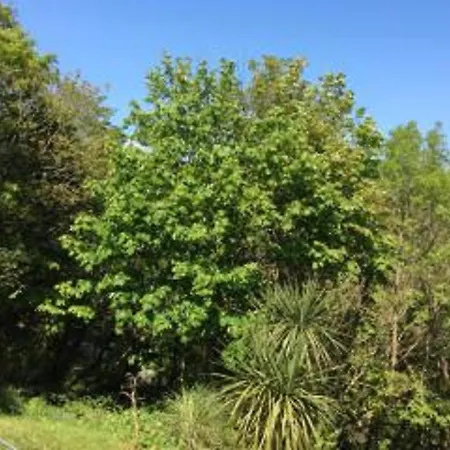 Holiday home Sea Wood Looe